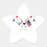 Bandera americana y fuegos artificiales pegatinas forma de estrellaes