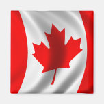 Bandera canadiense que agita imanes  