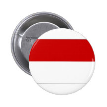 Bandera de Austria Viena Pin