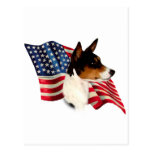 Bandera de Basenji Tarjeta Postal