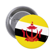 Bandera de Brunei Pins