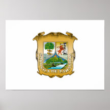 Bandera de Coahuila Poster