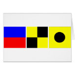 Bandera de código Eli Tarjetón