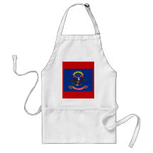 Bandera de Dakota del Norte Delantal