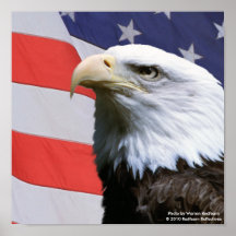 Bandera de Eagle, Impresiones