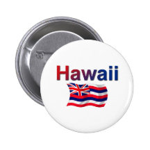 Bandera de Hawaii Pin