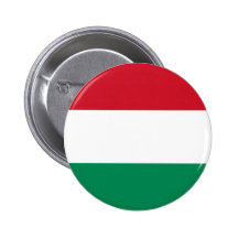 Bandera de Hungría Pins