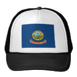 Bandera de Idaho Gorro