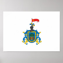 Bandera de Jalisco (heráldica) Posters