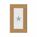 Bandera de la estrella del oro (perdida amada)