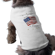 Bandera de los E.E.U.U. - 2 estrellas Camisetas De Mascota