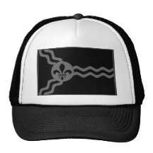 Bandera de St. Louis Gorra