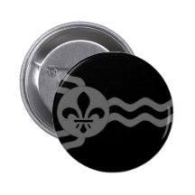 Bandera de St. Louis Pin