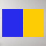 Bandera de Tipperary, Irlanda Poster
