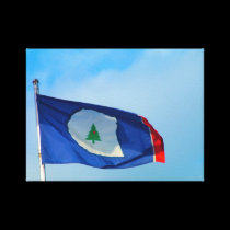 Bandera del condado de Warren impresiones de lienzo