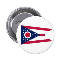 Bandera del estado de Ohio Pins