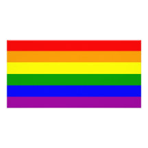 Bandera del orgullo gay/bandera del arco iris tarjeta con foto personalizada