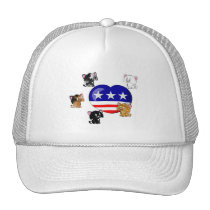 Bandera en forma de corazón de los E.E.U.U. gorras