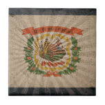 Bandera fresca de Virginia Occidental del Grunge Tejas Cerámicas
