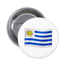 Bandera que agita de Uruguay Pin
