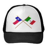 Banderas cruzadas de Tejas y de Álamo Gorro De Camionero