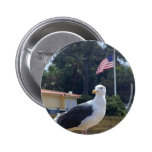 Banderas de los pájaros de las gaviotas pin