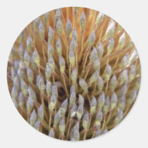 Banksia Pegatina