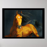 Barbaro Poster