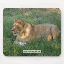 Barbary Lion-toy-023 Tapete De Ratón