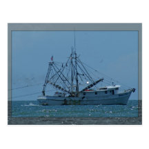 Barco del camarón postales