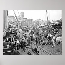 Barcos de plátano de Baltimore Poster