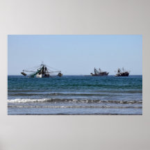 Barcos del camarón de Puerto Peasco Poster