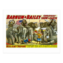 Barnum y Bailey - elefantes Tarjetas Postales