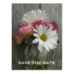 Barnwood, margaritas, y reserva de Strawflowers la Tarjetas Postales