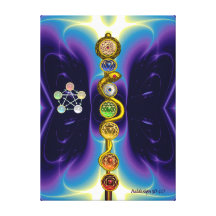 BARRA DE ASCLEPIUS CON 7 CHAKRAS, ENERGÍA ESPIRITU LIENZO ENVUELTO PARA GALERIAS