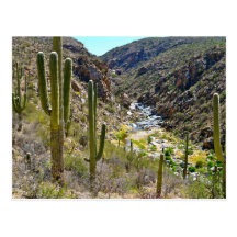 Barranco de Tanque Verde Postales