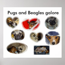 Barros amasados y beagles a montones poster