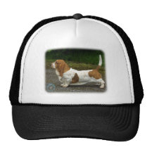 Basset Hound 9R037D-46 Gorras