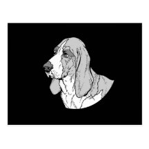 BASSET HOUND POSTAL