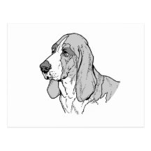 BASSET HOUND POSTALES