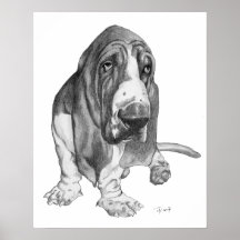 Basset Hound Posters