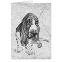Basset Hound Tarjetas