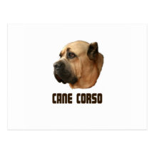 Bastón Corso Tarjeta Postal