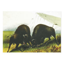 Batalla de la pradera de la CAMISETA Plantilla De Tarjeta De Visita