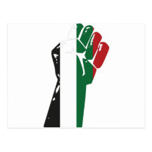 Batalla para Palestina Tarjetas Postales