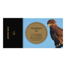 Bateleur de las águilas de los rapaces del perfil  tarjetas fotograficas personalizadas