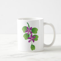 bauhina tazas