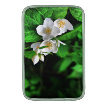 Baumblüten Funda MacBook