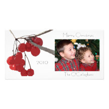 Baya del invierno - Photocard Tarjeta Fotográfica Personalizada