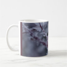 Baya del invierno taza